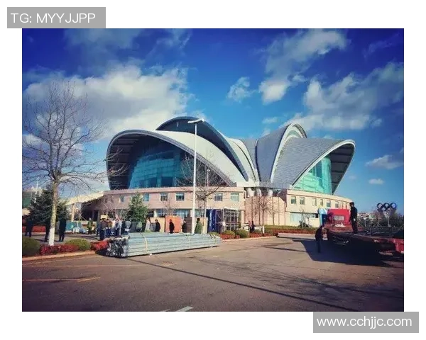 重庆乒乓球队的拼搏历程与荣耀时刻全景回顾